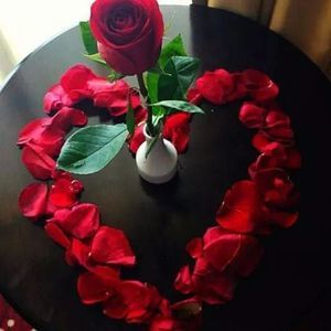 Meet your Posher, Alicia